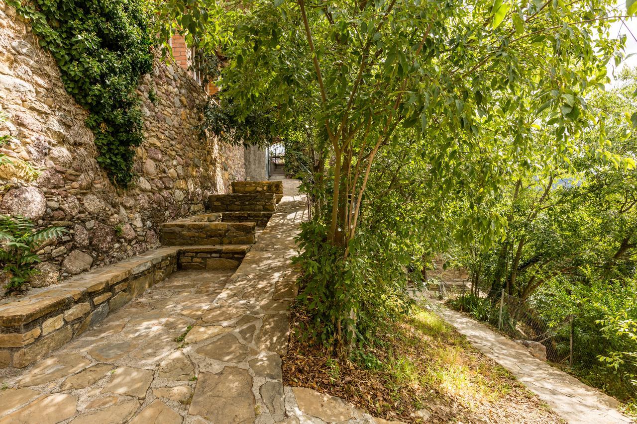 Alberg La Solana Salás de Pallás Kültér fotó